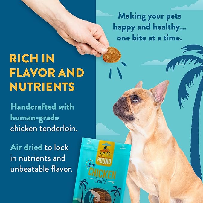 Just Chicken Chips | Single Premium Ingredient & Healthy Treats | All Natural Training Treats for Small, Medium, and Large Dog Breeds | Made in USA - 16oz