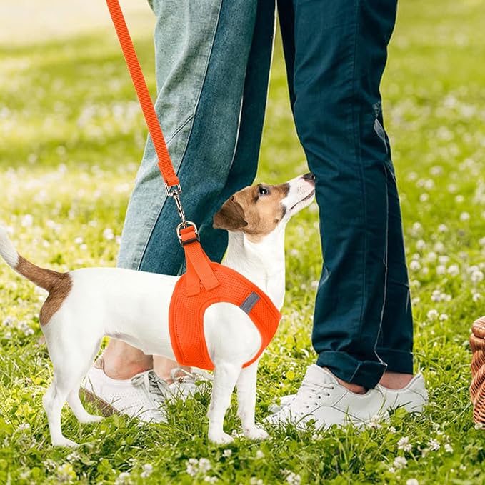 PUPTECK Adjustable Dog Harness Collar and Leash Set Step in No Pull Pet Harness for Small Medium Dogs Puppy and Cats Outdoor Walking Running, Soft Mesh Padded Reflective Vest Harnesses