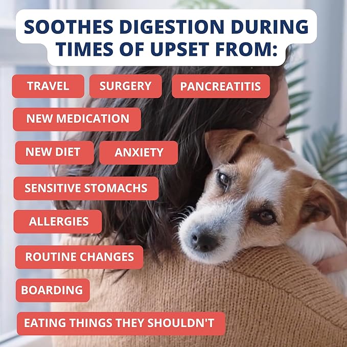 Under the Weather Bland Diet for Dogs | Easy to Digest Stomach Support for Sick Dogs | Contains Electrolytes, All Natural | 6 Pack - Turkey, Oatmeal, Sweet Potato & Slippery Elm - 6oz