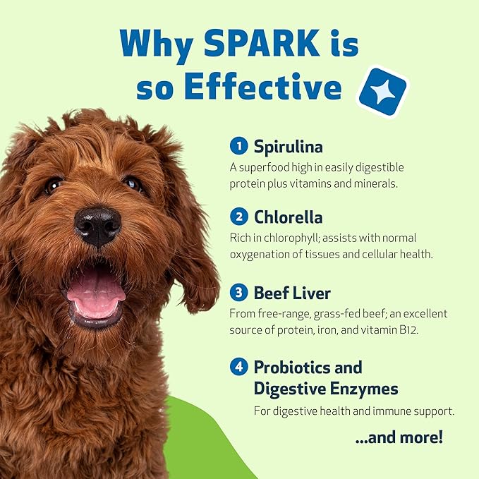 Pet Wellbeing Spark Daily Nutritional Greens Superfood for Dogs & Cats - Probiotics, Prebiotics, Digestive Enzymes, Amino Acids, Antioxidants, Vitamin D, Spirulina - Vet-Formulated 3.53 oz (100 g)