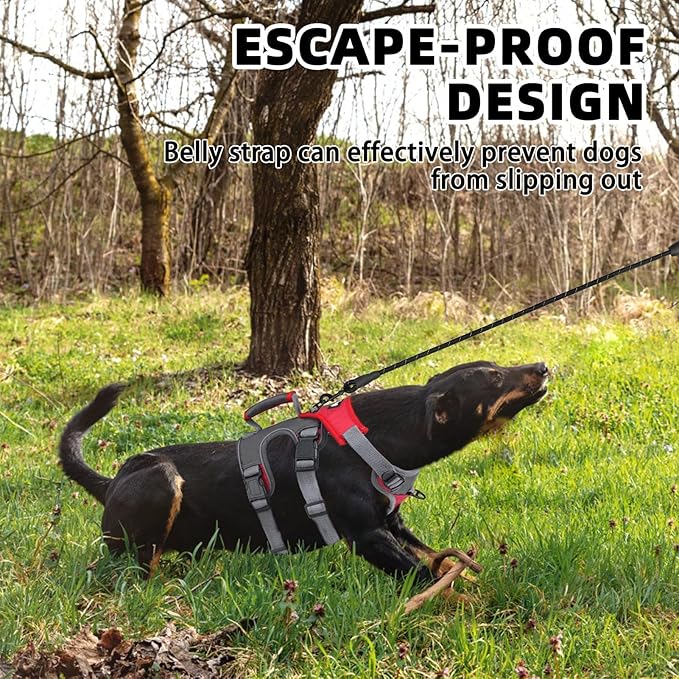 PUPTECK Escape Proof Dog Harness and Leash Set Upgraded No Pull Reflective Dog Vest with Lift Handle, Easy Control Pet Harness for Medium Large Dogs Training Walking Running