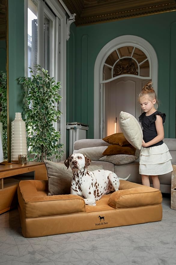 NOAH & PAW XL Dog Bed, 45x35x11 Inch, Orthopedic Large Dog Beds, Eggshell Memory Foam Infused with Cooling Gel, Inner Cover, Waterproof, Machine Washable (Faux Leather Sofa Collection)