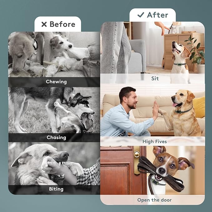 Wireless Dog Fence & Training Collar – Waterproof Electric Fence System with Remote, Pet Containment, Adjustable Range 33–1000ft, Safe Shock/Vibration/Beep Modes (Green with 2 Collars)