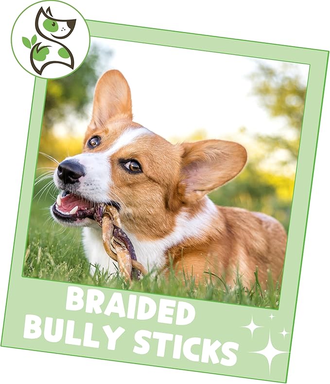 Nature Gnaws Braided Bully Sticks for Dogs 5-6" (3 Count) - Long Lasting for Small and Medium Dogs - Natural Beef Dog Chew Bones - Rawhide Free