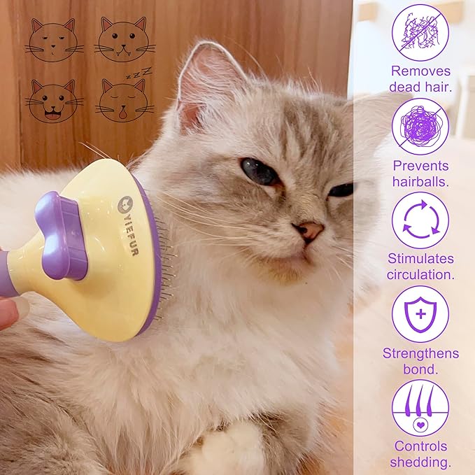 Cat Brush for Grooming and Shedding, Self-Cleaning Silicone Brush for Short and Long Haired Cats, Cat Gifts for Pet Lovers (purple)