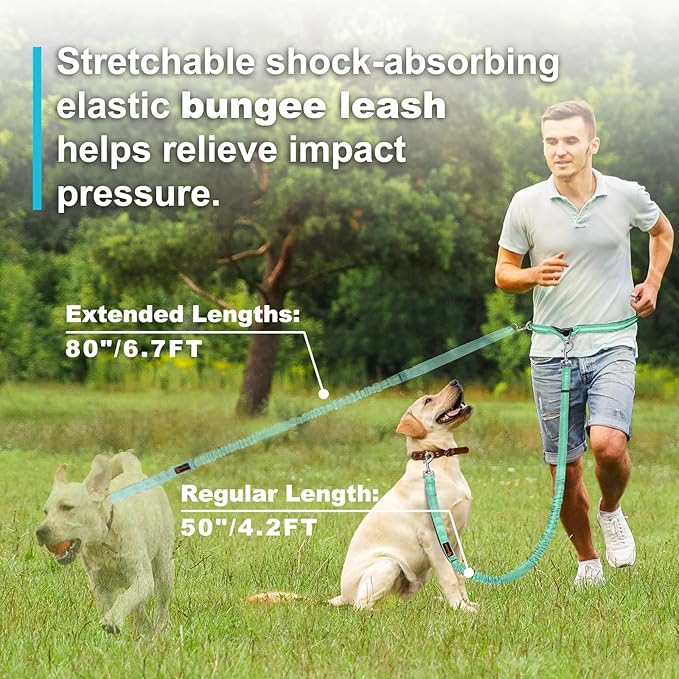 Hands Free Dog Leash, Adjustable Waist Leash for Dog, Handle Bungee 4.2-6.7 Feet Long with Reflective Stitches for Walking Hiking Running, Fits 26"- 43" Waist, Mint Green