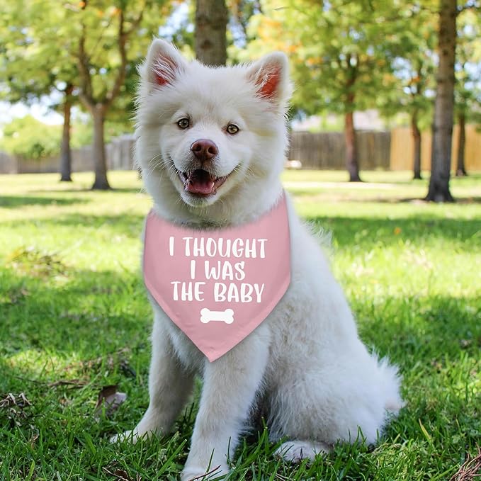 I Thought I was The Baby Pregnancy Announcement Bandana Pink Dogs Triangle Scarf Dog Bandana Baby Announcement Photo Prop Pet Scarf Accessories for Pet Dog Lovers Gifts