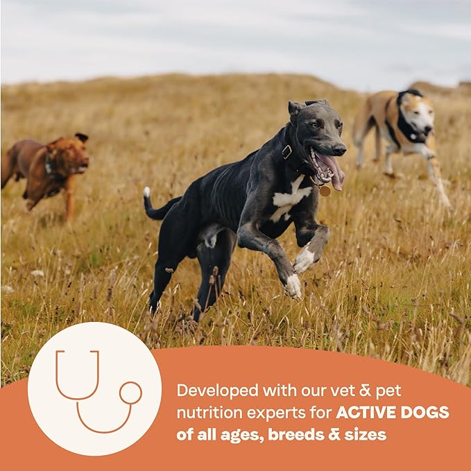 Canidae All Life Stages High Protein Dry Dog Food, Salmon & Ancient Grains Recipe, 27 lbs.