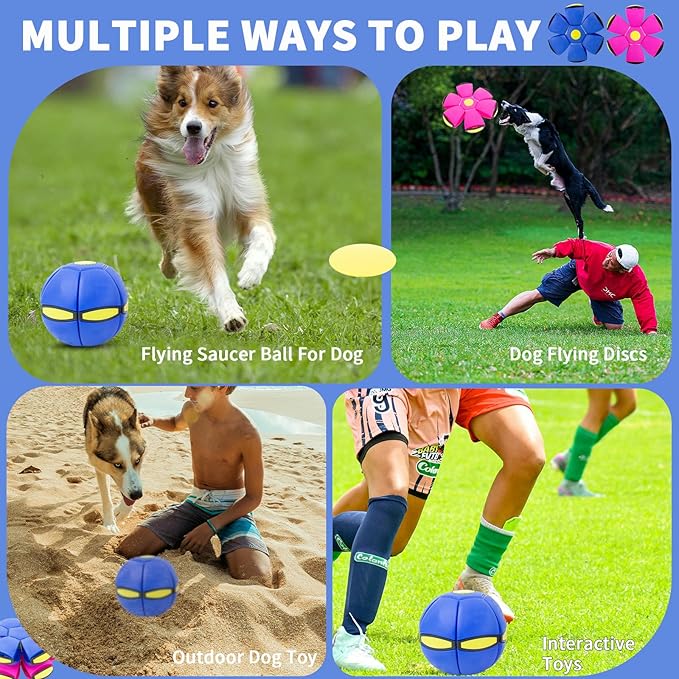 Flying Saucer Ball - 2 Pack Dog Disc Toy for Medium Large Dogs, Outdoor Interactive Pet Toy - Blue+Pink