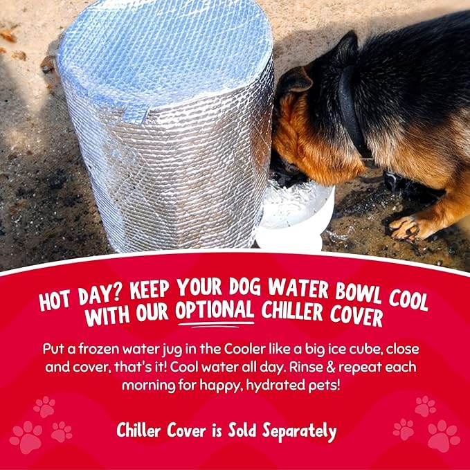 Gravity Water Bowl for Cats: Dogs & All Pets 3.5 Gallon. Top Fill Automatic Water Dispenser for Cat, Quiet, No BPA & Made in USA. Auto Water Dog Bowl for Daycares, Multi Pet Homes and Busy Parents