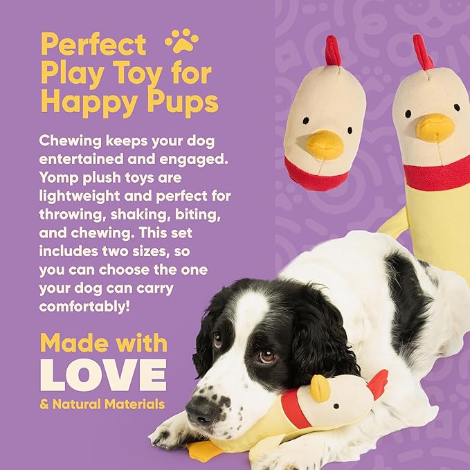 Yomp Chicken Dog Toy – Durable Stuffed, No Squeaker Dog Toys with Natural Canvas and Crinkle Paper – Interactive Stuffed Animal for Dogs (2-Piece Clucky Set)
