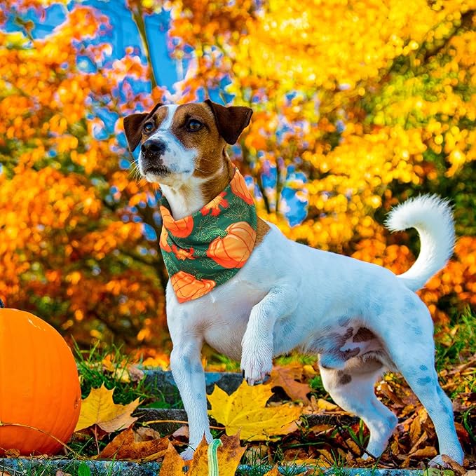 Sweetude 100 Pieces Fall Dog Bandanas Bulk,Thanksgiving Bandanas for Dogs Pumpkin Maple Leaves Pattern Puppy Triangle Scarf Bibs for Medium Small Pet Autumn Costume Accessories(25.6 x 17.7 x 17.7)