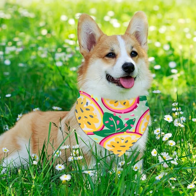 Sanwuta 72 Pcs Dog Bandana Bulk Washable Puppy Triangle Scarfs Cat Bandanas Adjustable Soft Cute Pet Triangle Bibs Accessories for Small Medium Dogs Cats Pets Costume(Summer Pattern)