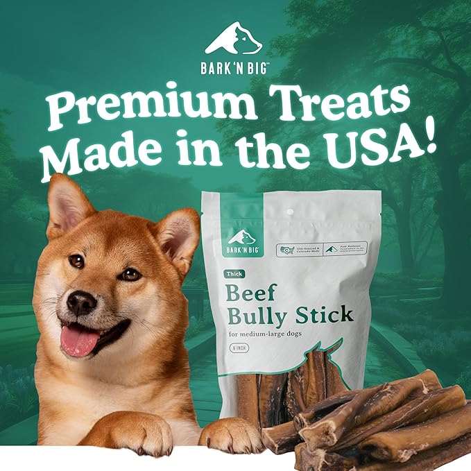 BARK'N BIG Thick 6 Inch Odor Free Bully Sticks for Dogs Made in USA - Single Ingredient Dog Chew - Premium Pizzle Sticks - Beef Pizzles for Small and Medium Breeds - 8 Count