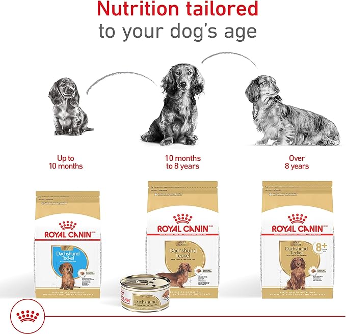 Royal Canin Breed Health Nutrition Dachshund Adult Loaf in Sauce Wet Dog Food, 3 oz can (24-Count)