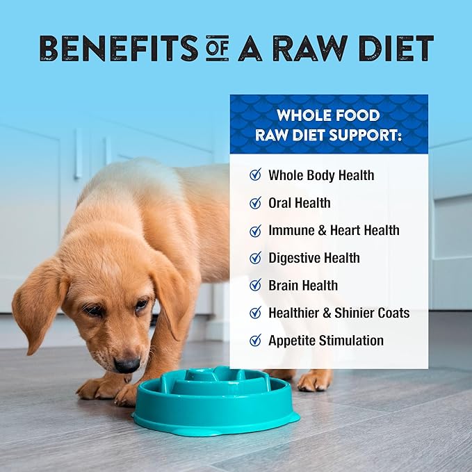 Northwest Naturals Freeze-Dried Beef & Trout Dog Food - Bite-Sized Nuggets - Grain-Free, High-Protein, Raw Diet, Human-Grade Ingredients, All Natural, Omega-3 for Skin & Coat - 12 Oz (Pack of 2)