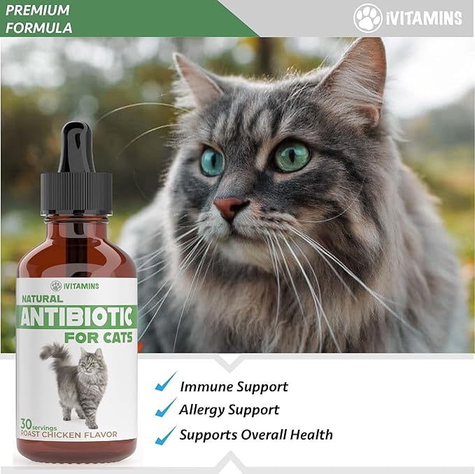 Cat Antibiotic for Infections, UTIs, Respiratory Moments, Cold, & Allergies | Antibiotics for Cats of All Ages & Breeds | Chicken Flavor | 1 fl oz | (1)