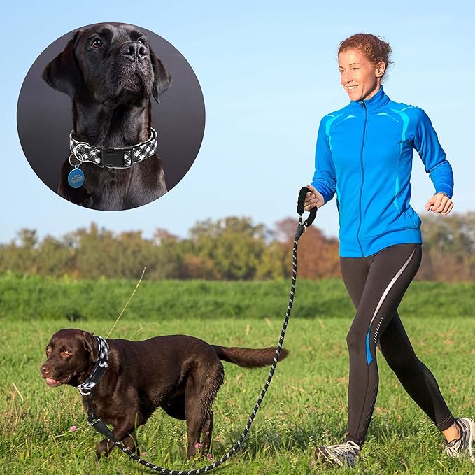 Reflective Dog Collar Padded with Soft Neoprene Breathable Adjustable Nylon Dog Collars for Small Medium Large Dogs (Small (Pack of 1), Black Plaid Collar+Leash)