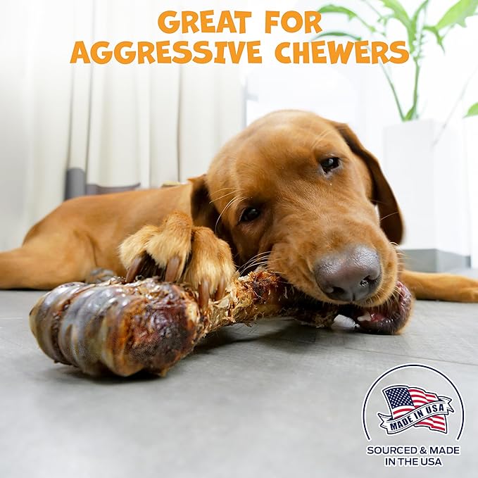 Beef Shin Bones for Dogs - Liver Coated Long Lasting Dog Chews for Aggressive Chewers - Rawhide-Free Big Bones for Large Dogs - Healthy Large Dog Bone (2 Pack)