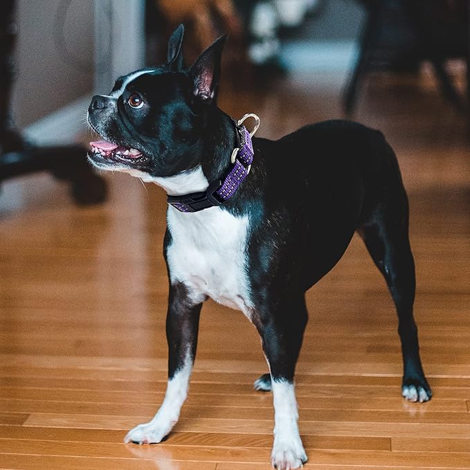 Hikiko Martingale Collar for Dogs Reflective Nylon Dog Collar with Quick Release Buckle Adjustable Training No Slip Dog Collar (X-Large, Purple)