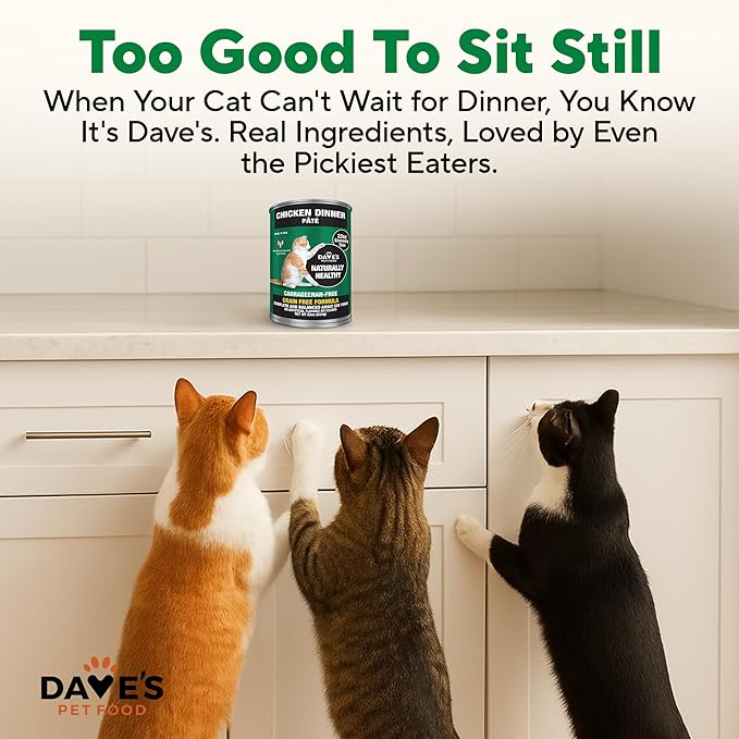 Dave's Pet Food Grain Free Wet Cat Food Pate (Chicken), Made in USA Naturally Healthy, Economy Size, Multi-Cat Families, Canned, 22 oz Cans (12 Pack)