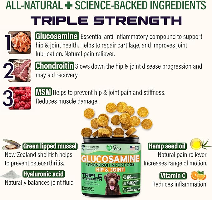 Glucosamine for Dogs – Hip & Joint Supplement with Chondroitin, MSM, Turmeric, Hemp Oil & Green Lipped Mussel – Arthritis Pain Relief, Mobility Support – Vet Formulated, USA – 120 Chews