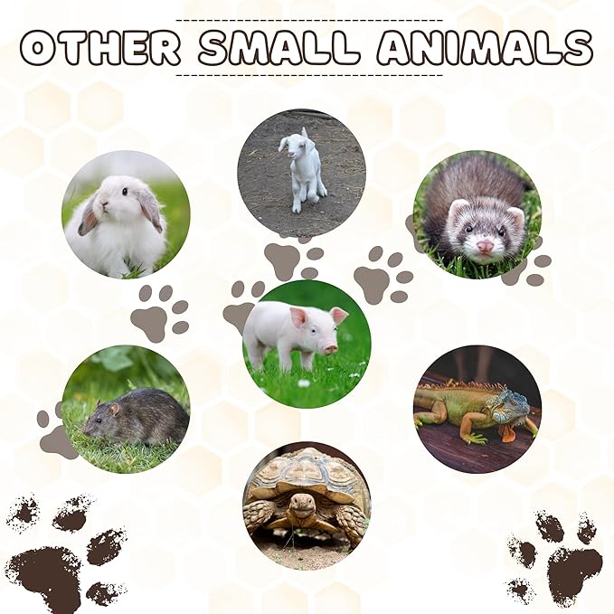 Pill Shooter for Dogs and Cats (4-PACK) – Soft Tip Pet Piller for Easy Medication Delivery | Pill Gun Dispenser Tool for Small or Large Pets | Upgraded H- Bar Design Reusable Syringe Device – Blue