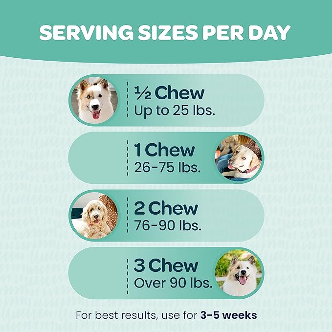 Immunity Boosting Dog Allergy Chews | Delicious and Soothing Hot Spot & Dog Itch Relief Chew for Seasonal Allergy Relief with Probiotics ACV Alaskan Salmon Oil & Colostrum for Dogs | 90 Chews