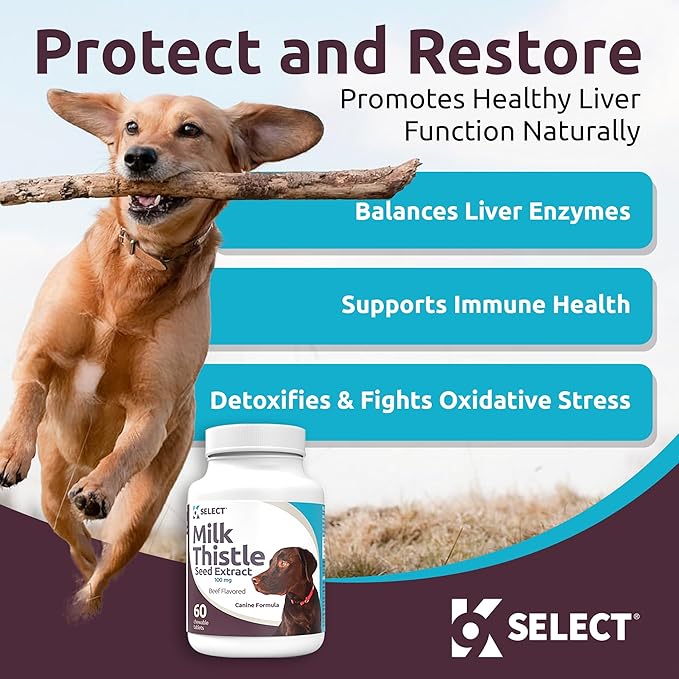 K9 Select Milk Thistle for Dogs, 100mg - 60 Beef Flavored Tablets - Canine Liver Health Natural Milk Thistle Supplement