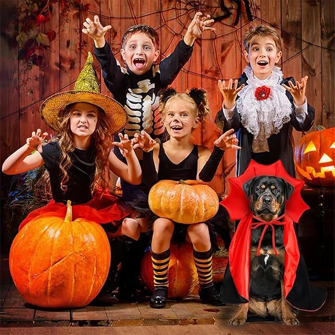 Cat Halloween Costumes - Vampire Bat Wings Cape for Pets, Bat Cat Avenger Mask, Small Dog Halloween Costumes for Trick-or-Treating, Cosplay, Parties & Photos