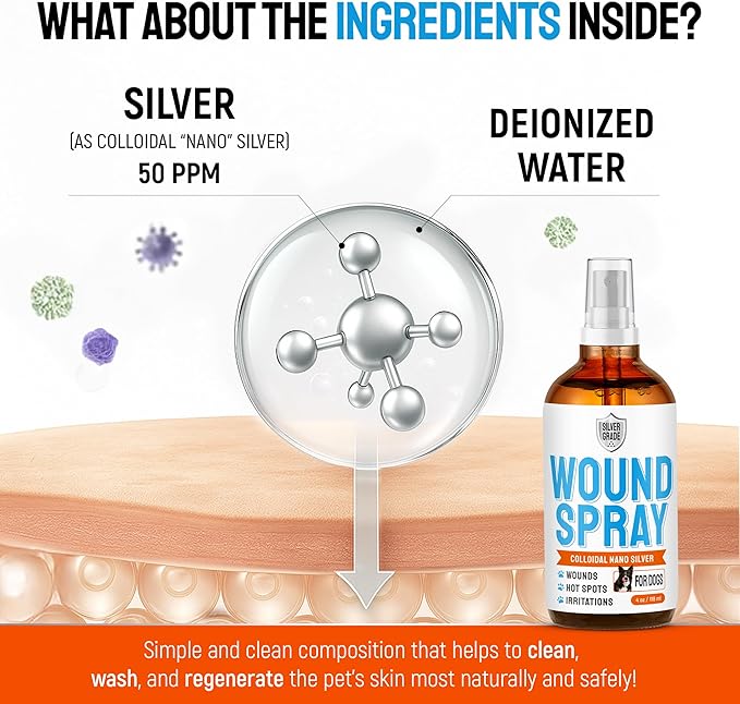 Hot Spot Treatment for Dogs – Silver Wound Spray Helps with Irritation, Bites, Burns, Rashes, Itch, Scratching – Better Use with a Dog Cone – 4 oz