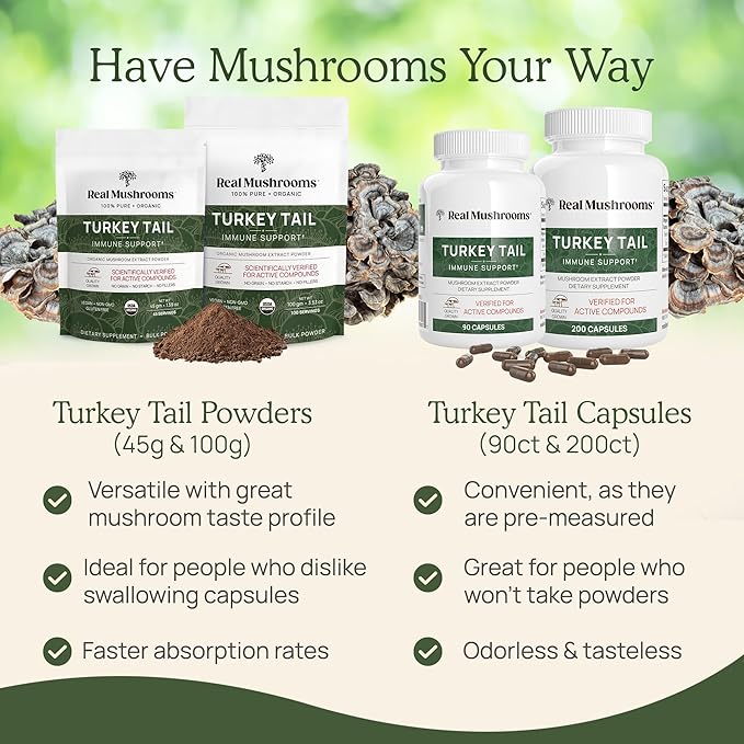 Real Mushrooms Turkey Tail Capsules – Organic Mushroom Extract for Daily Wellness, Gut Harmony, Energy Support – Vegan, Non-GMO, No Fillers – Turkey Tail Extract 200 Count Mushroom Supplement