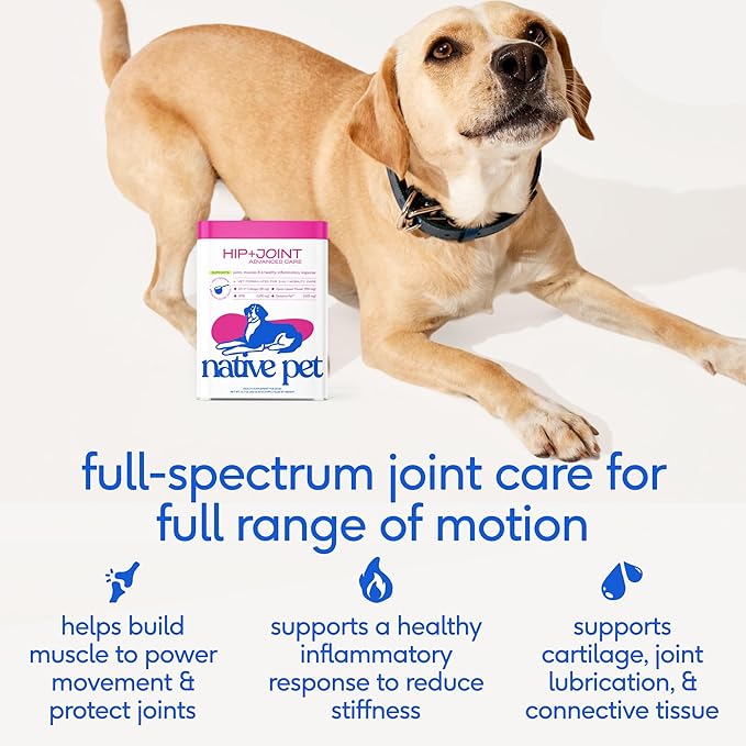 Native Pet Advanced Care - Hip & Joint Supplement for Dogs - Supports Joints, Cartilage, Muscles & Anti-Inflammatory with HMB, UC-II Collagen, Green Lipped Mussel & Hyaluronic Acid - 60 Scoops