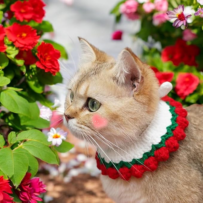 Cute Rabbit Knitted Hat and Collar Set, Bunny Hats and Necklace for Rabbits Guinea Pig Small Dog Cat, Hats for Pet Rabbits, Pet Bunny Costume for Birthday Party Christmas, Rabbit Accessories