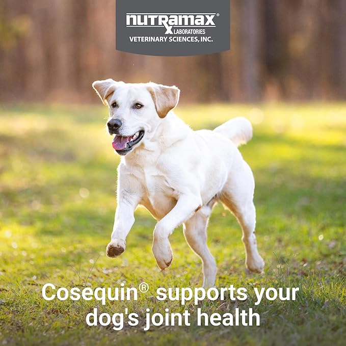 Nutramax Cosequin for Dogs Joint Health Supplement, Contains Glucosamine for Dogs, Plus Chondroitin, MSM and HA, Supports Healthy Joints, Chewable Tablets, 150 Count
