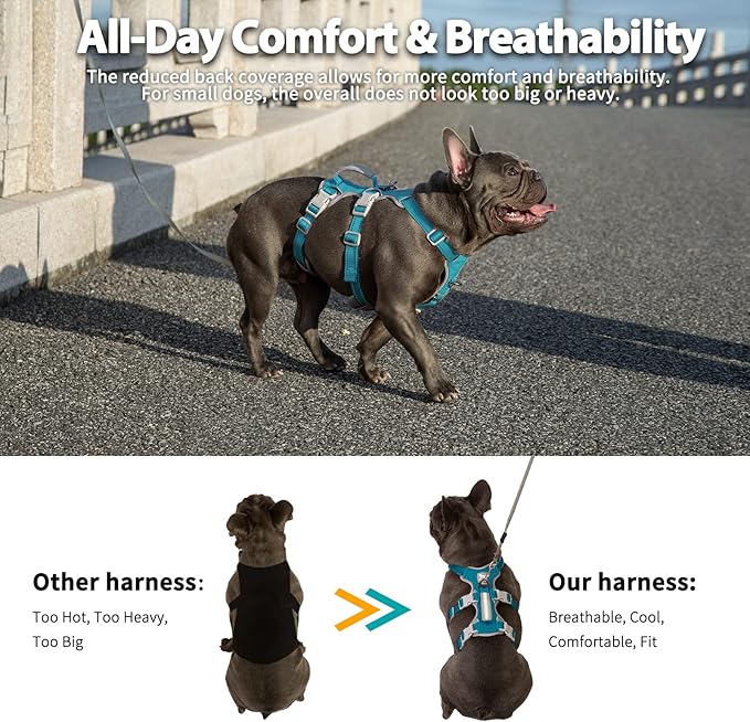 Huntboo Escape Proof Dog Harness, Escape Artist Harness, Fully Reflective Harness with Padded Handle, Breathable,Durable, Adjustable Vest for Medium Dogs Walking, Training, and Running Gear (Teal,XS)