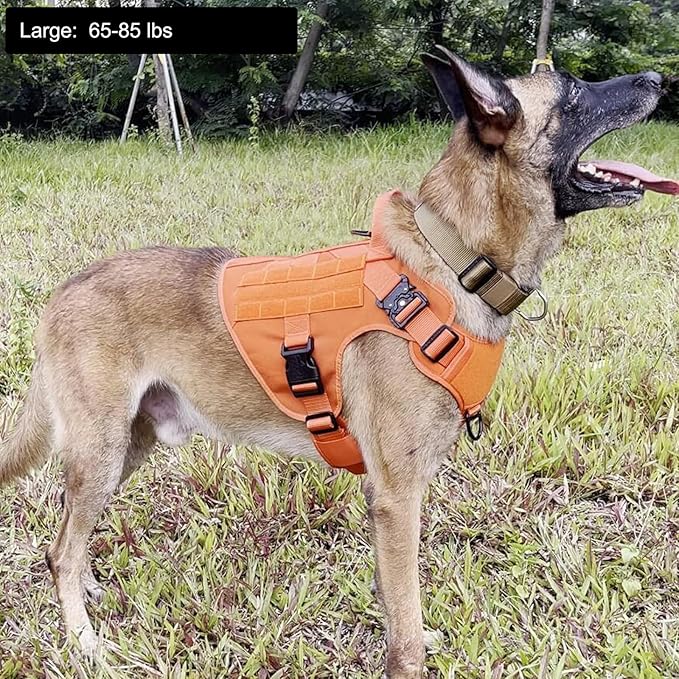 ICEFANG Tactical Dog Harness, Large Size,2X Metal Buckle,Working Dog MOLLE Vest with Handle,No Pulling Front Leash Clip,Hook and Loop Panel (Orange,L (Pack of 1))