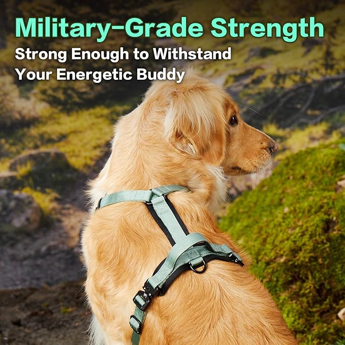 PawsPassion Dog Harness for Medium Dogs, No Pull Dog Harness Easy Walk with Metal Hardware, Ergonomic Y-Shaped Design, Soft Padding, Padded Handle, Durable High-Tensile Nylon (Seabreeze, M)