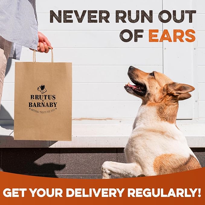 Cow Ears for Dogs – Thick Cut, Grass-Fed Angus Beef, All-Natural No-Rawhide Dog Treat Alternative