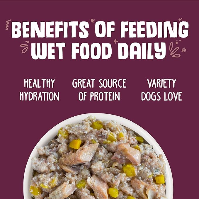 Weruva Classic Dog Food, Hot Dayam! with Lamb in Gelée, 14oz Can (Pack of 12)