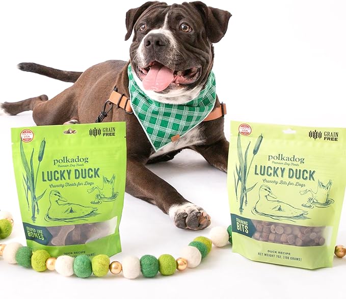 Polkadog Lucky Duck Bone-Shaped Dog Treats, Cat Snacks – All-Natural Pet Treats for Kittens, Puppies – Bite-Sized, Crunchy Snack for Dogs, Cats – 2 Ingredients – 7oz