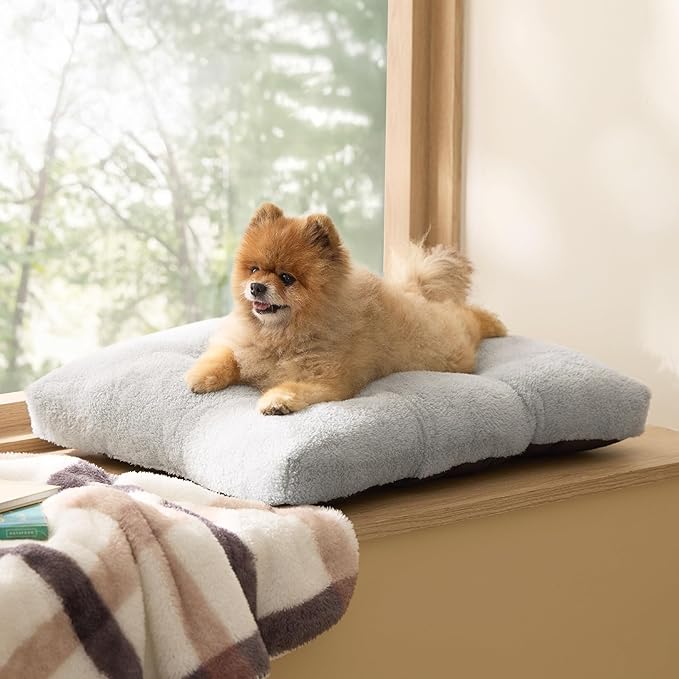 Bedsure Small Dog Bed for Crate Washable, Comfort Fluffy Plush Pillow Bed Crate Pad, Non-Slip and Machine Washable Kennel Pet Sleeping Mat for Puppy/Cat, 24"x17", Gray