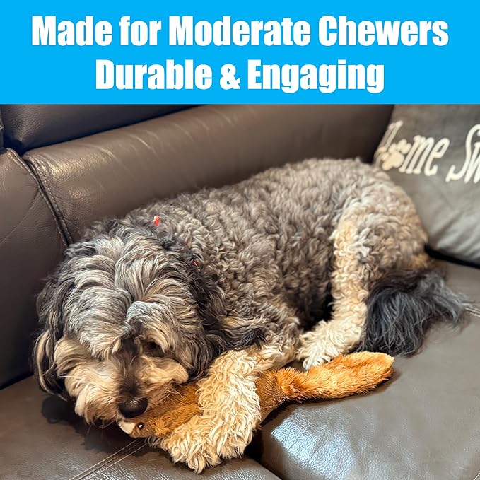 SPOT Skinneeez Plus Squirrel - Stuffing Free Dog Toy with Two Piece Rubber Body and Two Squeakers, Fun to Bite, Stuffingless Design is Great for Moderate Chewers, Tug Toy for Puppies & Dogs - 15in