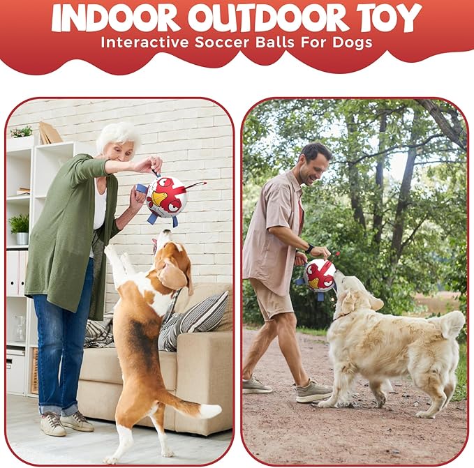 QDAN Premium Dog Balls Toys, Outdoor Dogs Toy for Small Medium Dogs, Puppy Birthday Gifts, Dog Soccer Ball, 6 Inch, Chicken Ball