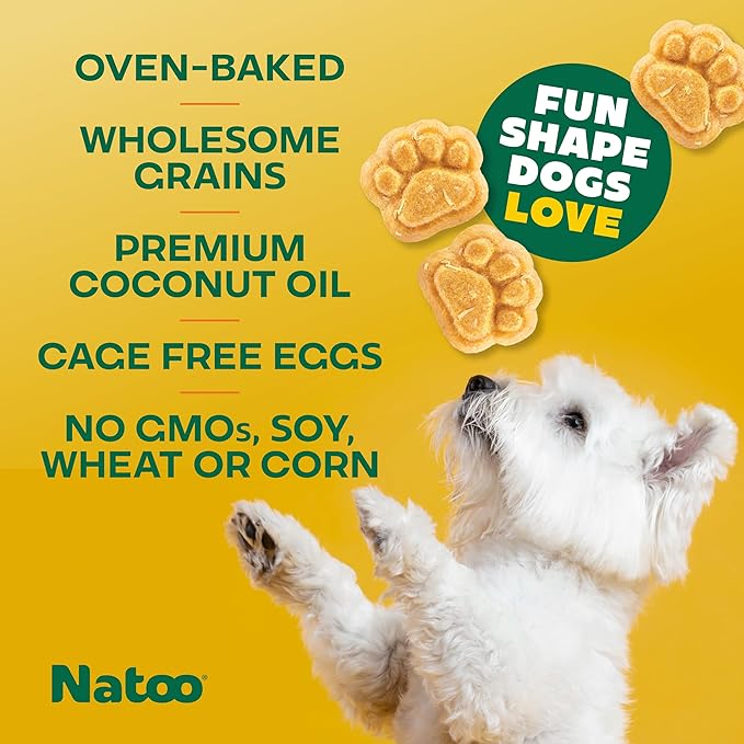 NATOO Biscuits for Small Dogs - Crunchy Treats Coconut & Mango – Healthy Natural Dog Biscuits, Rich in Omega 6, Prebiotics & Fibers, Antioxidants for Immunity (Puppies, 8 oz)