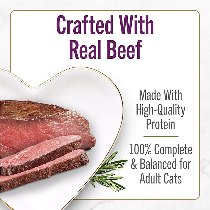 Purina Fancy Feast Savory Centers With Beef Wet Cat Food Pate with Gourmet Gravy Center - (Pack of 24) 3 oz. Cans