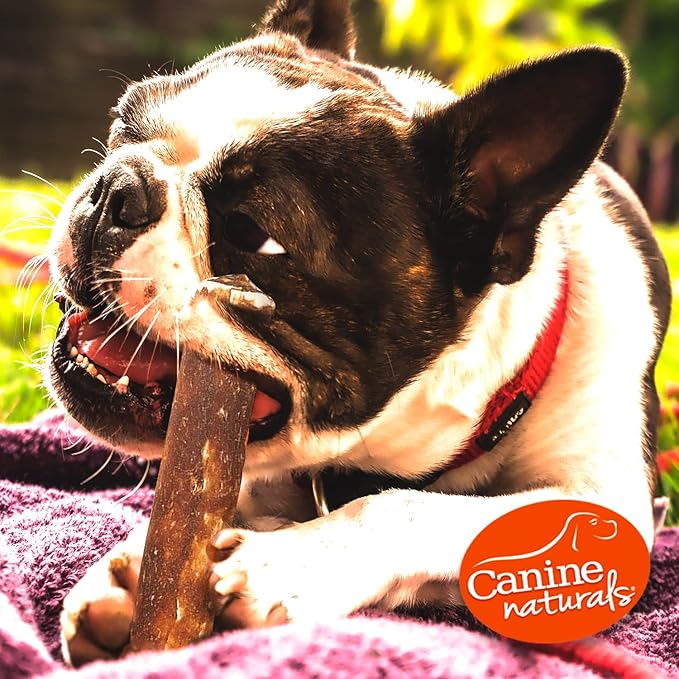 Canine Naturals Peanut Butter Chew - 100% Rawhide Free Dog Treats - Made with Real Peanut Butter - All-Natural and Easily Digestible - 2 Pack of 9 Inch Extra Large Rolls for Dogs 75 lbs and Upp
