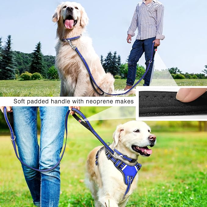 WINSEE Pet Harness Collar and Leash Set, All-in-one Reflective Dog Harness No Pull with Adjustable Buckles for Puppies, Small, Medium, Large, and Extra-Large Dogs (Medium, Dark Blue)