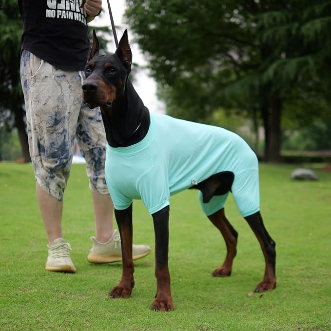 LoveLongLong Dog Jumpsuit with UV Protection and Quick-Dry Fabric for Spring Summer Pet Pajamas Turquoise XL