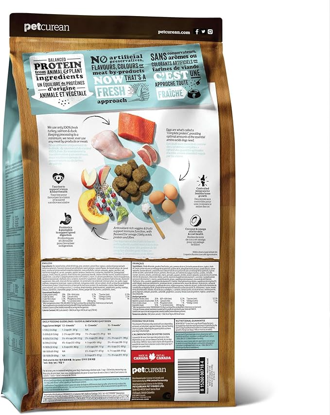 Now Fresh Grain-Free Large Breed Dry Puppy Food with Turkey, Salmon & Duck, Healthy Kibble for Growing Dogs with Real Meat & Fish, Chicken-Free, Pumpkin & Probiotics for Good Digestion, 25 lb Bag